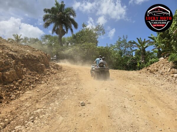 Ruta del Café en Quad o Buggy - Image 5