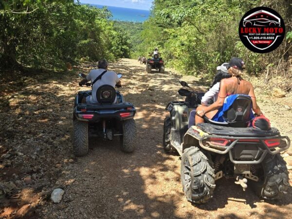 Ruta del Café en Quad o Buggy - Image 6