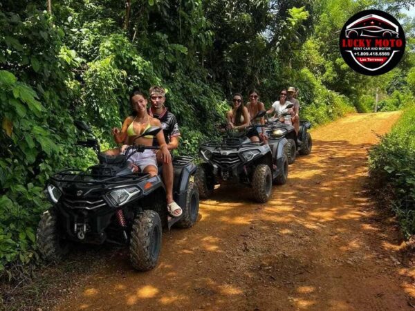 Ruta del Cafe