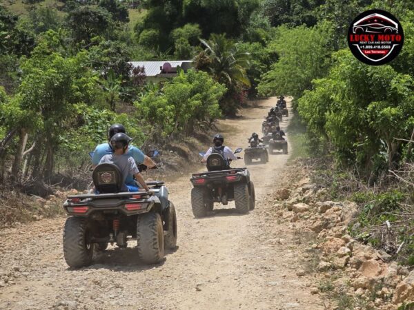 Ruta del Café en Quad o Buggy - Image 8