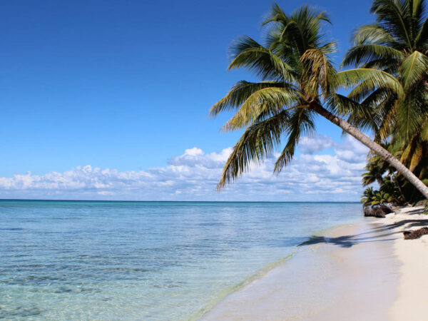 Bayahibe + Isla Saona - Image 2