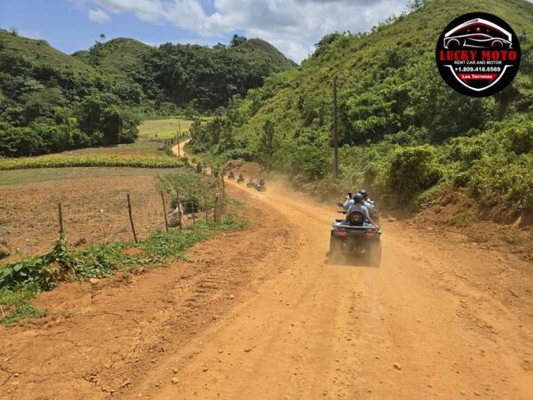 Ruta del Café + Cascada del Limón en Quad o Buggy - Image 2