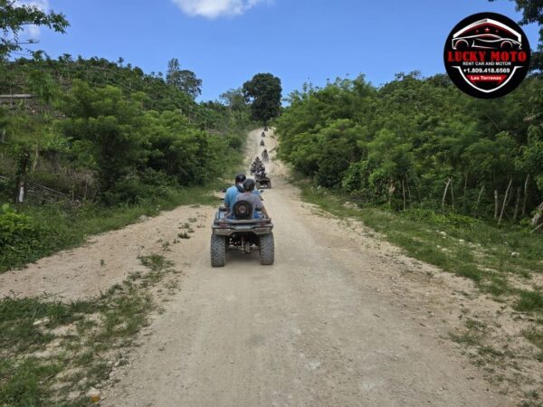 Ruta del Café + Cascada del Limón en Quad o Buggy - Image 4