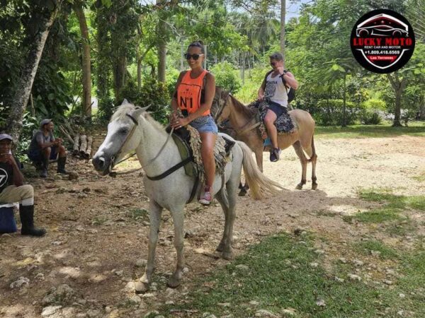 Ruta del Café + Cascada del Limón en Quad o Buggy - Image 6