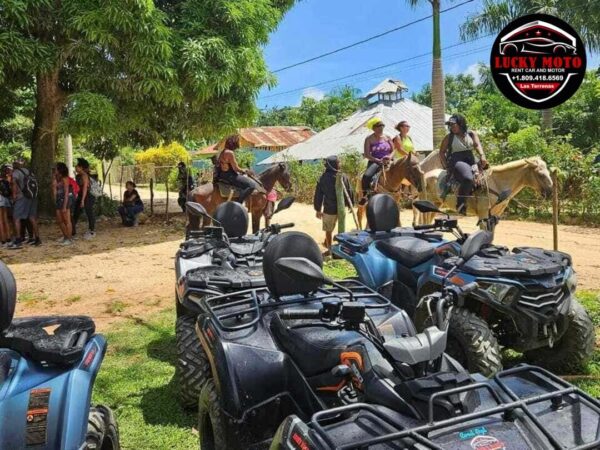 Ruta del Café + Cascada del Limón en Quad o Buggy - Image 7