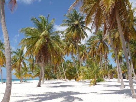 Bayahibe + Isla Saona