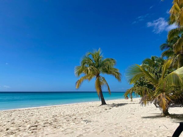 Bayahibe + Isla Saona - Image 7