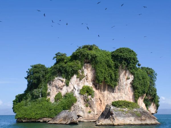 Parque Nacional Los Haitises y Cayo Levantado - Image 2