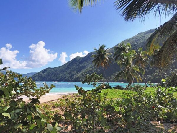 Playa Ermitaño - Image 6