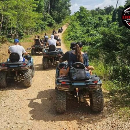 Ruta del Café y Playa en Quad o Buggy (4 horas)