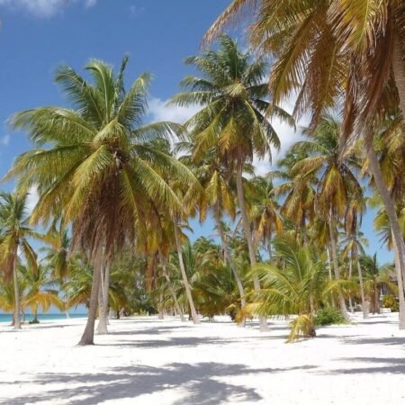 Bayahibe + Isla Saona